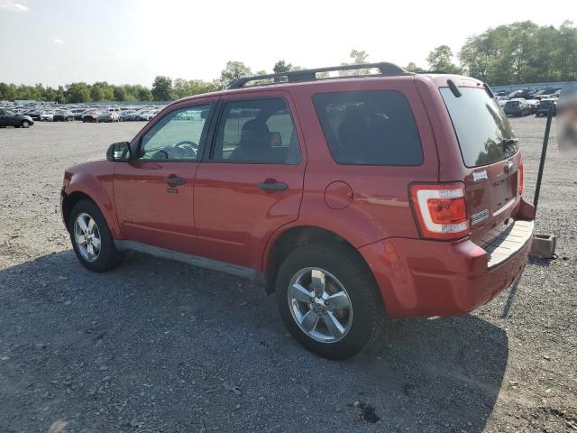 Photo 1 VIN: 1FMCU9DG7AKD42172 - FORD ESCAPE XLT 