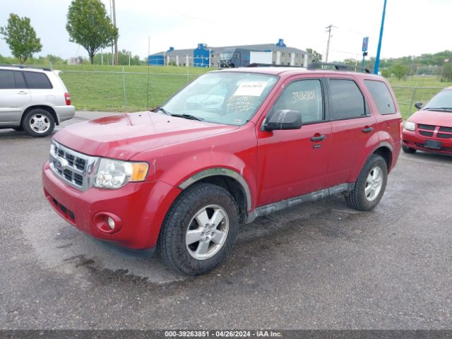 Photo 1 VIN: 1FMCU9DG7BKA05678 - FORD ESCAPE 