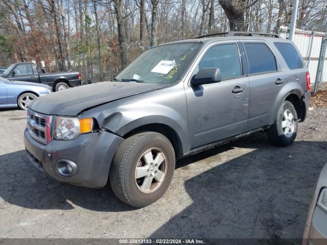 Photo 1 VIN: 1FMCU9DG9AKA04823 - FORD ESCAPE 