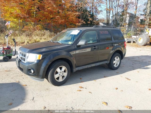 Photo 1 VIN: 1FMCU9DGXBKB03975 - FORD ESCAPE 