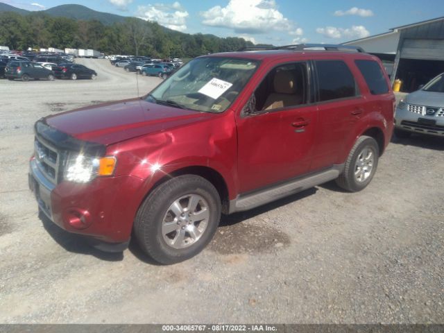 Photo 1 VIN: 1FMCU9EG1BKA13600 - FORD ESCAPE 