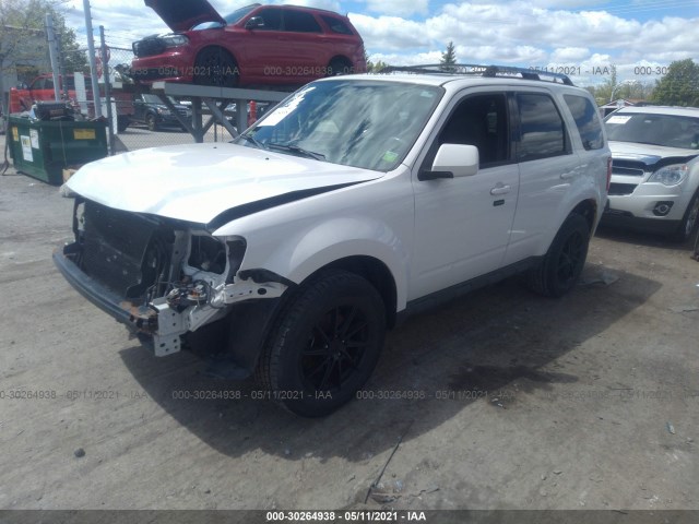 Photo 1 VIN: 1FMCU9EG1BKB12546 - FORD ESCAPE 