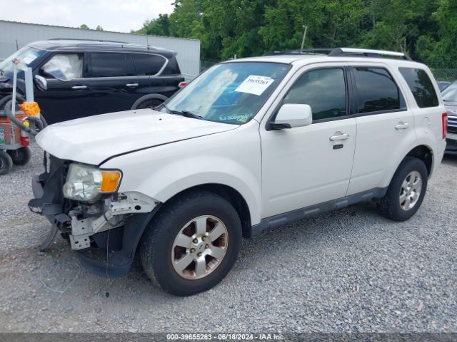 Photo 1 VIN: 1FMCU9EG1BKC67890 - FORD ESCAPE 