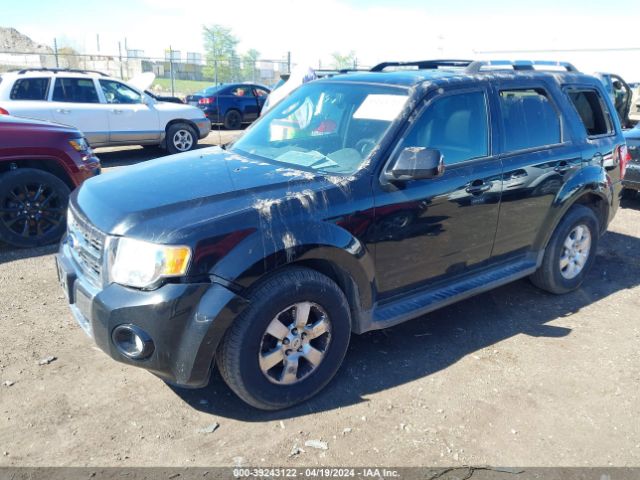 Photo 1 VIN: 1FMCU9EG2AKA62531 - FORD ESCAPE 