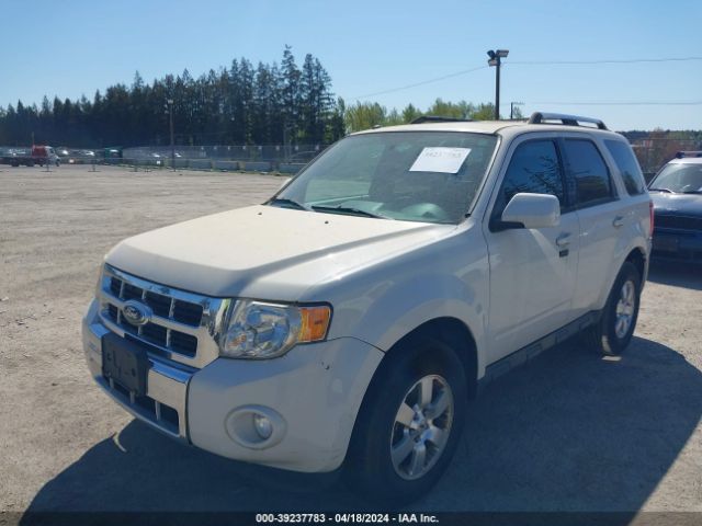 Photo 1 VIN: 1FMCU9EG2BKC42657 - FORD ESCAPE 