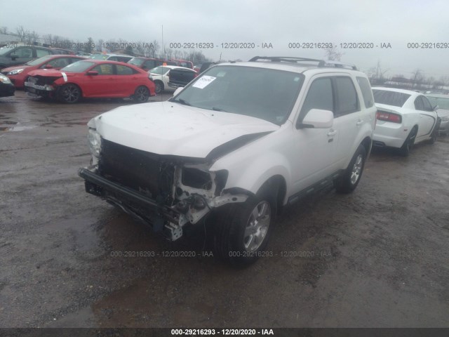 Photo 1 VIN: 1FMCU9EG2BKC60981 - FORD ESCAPE 