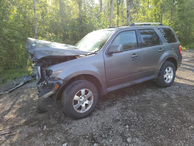 Photo 0 VIN: 1FMCU9EG4BKB56203 - FORD ESCAPE LIM 