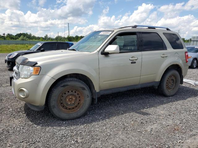 Photo 0 VIN: 1FMCU9EG4BKB81263 - FORD ESCAPE 