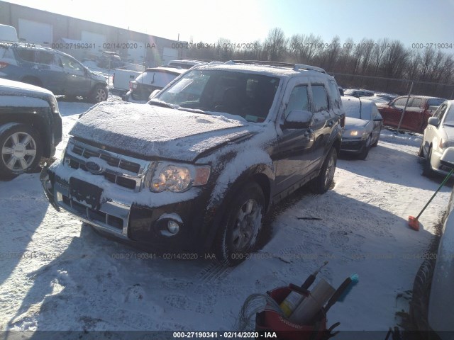 Photo 1 VIN: 1FMCU9EG4BKB88231 - FORD ESCAPE 