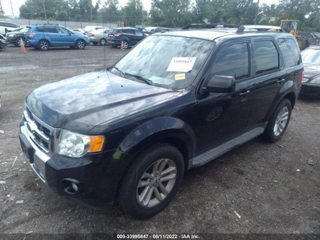 Photo 1 VIN: 1FMCU9EG4BKC22474 - FORD ESCAPE 