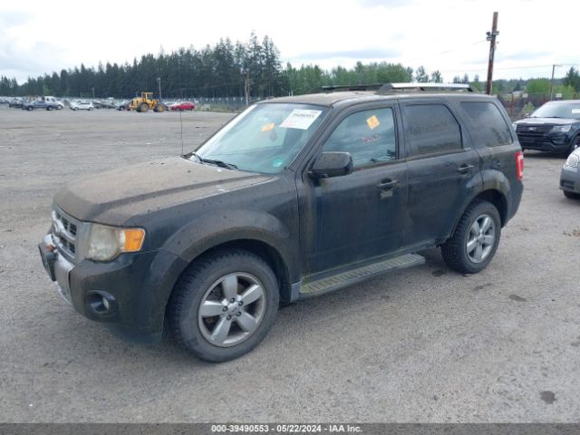 Photo 1 VIN: 1FMCU9EG5BKA95203 - FORD ESCAPE 