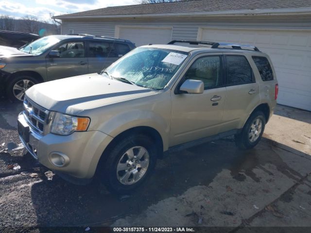 Photo 1 VIN: 1FMCU9EG6BKB44893 - FORD ESCAPE 