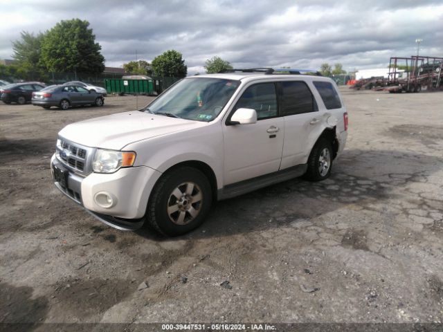 Photo 1 VIN: 1FMCU9EG6CKA70599 - FORD ESCAPE 