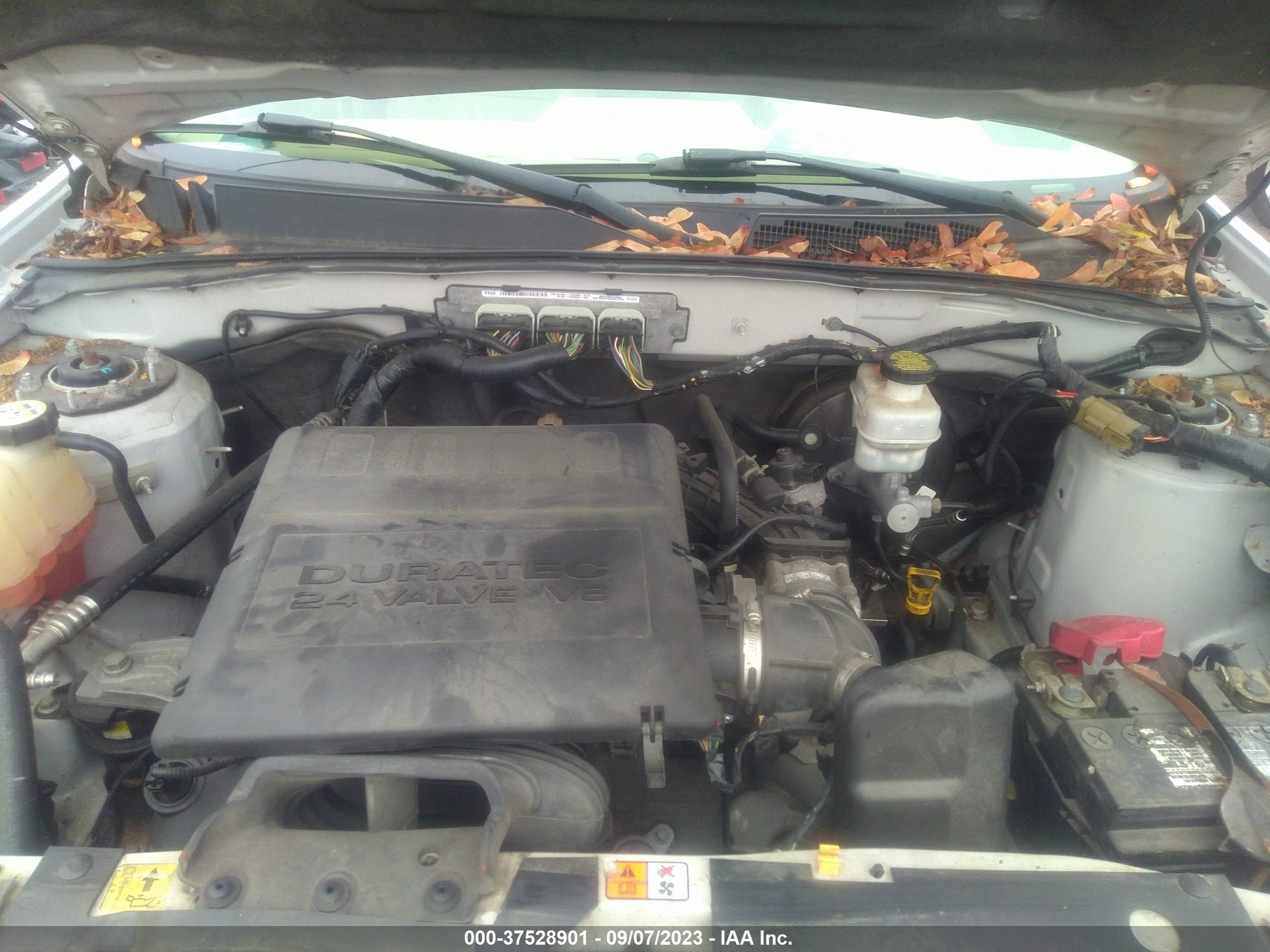 Photo 9 VIN: 1FMCU9EG7BKA97860 - FORD ESCAPE 