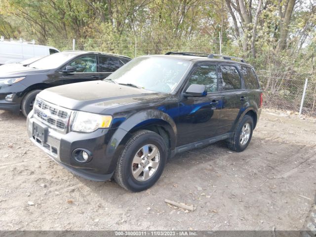 Photo 1 VIN: 1FMCU9EG7BKB53473 - FORD ESCAPE 