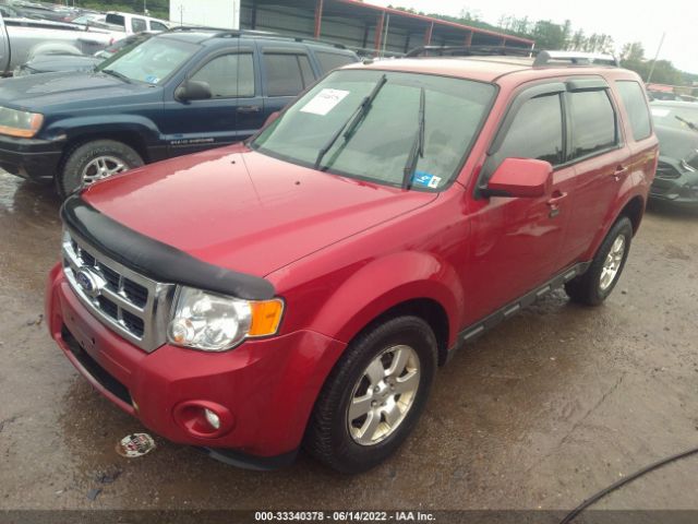 Photo 1 VIN: 1FMCU9EG8BKA57612 - FORD ESCAPE 