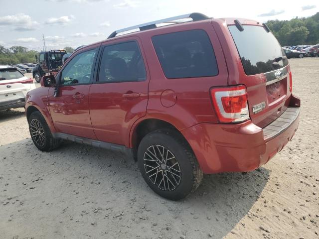 Photo 1 VIN: 1FMCU9EG9BKA82387 - FORD ESCAPE LIM 