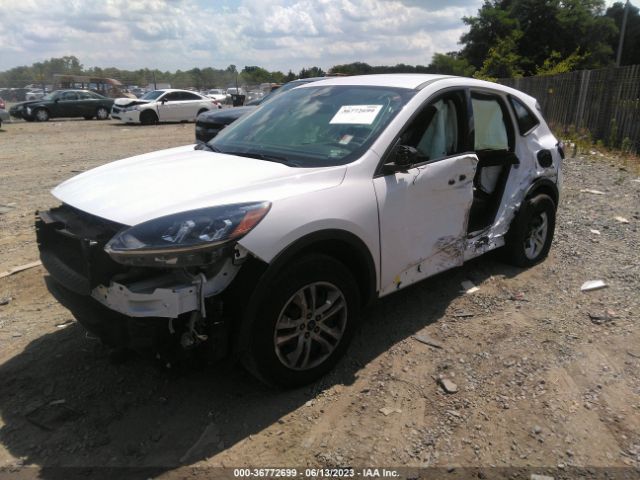 Photo 1 VIN: 1FMCU9F69MUB14266 - FORD ESCAPE 