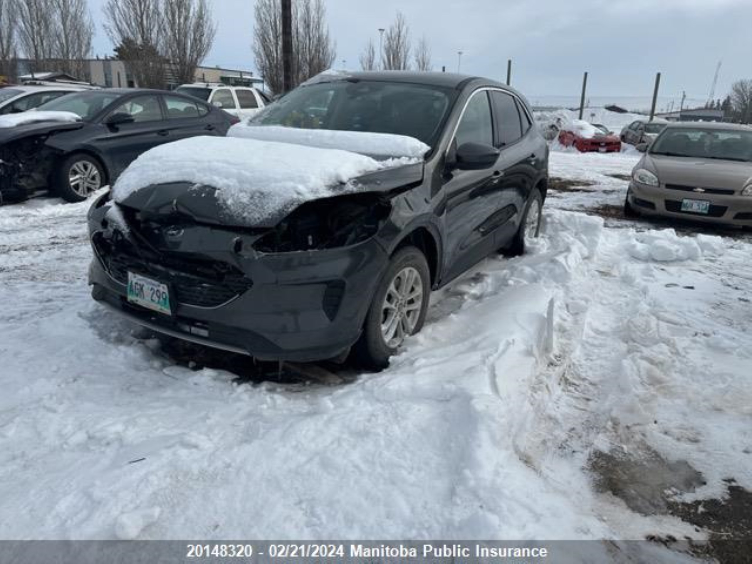 Photo 1 VIN: 1FMCU9G60LUA87844 - FORD ESCAPE 