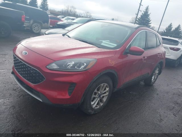 Photo 1 VIN: 1FMCU9G64LUA83697 - FORD ESCAPE 