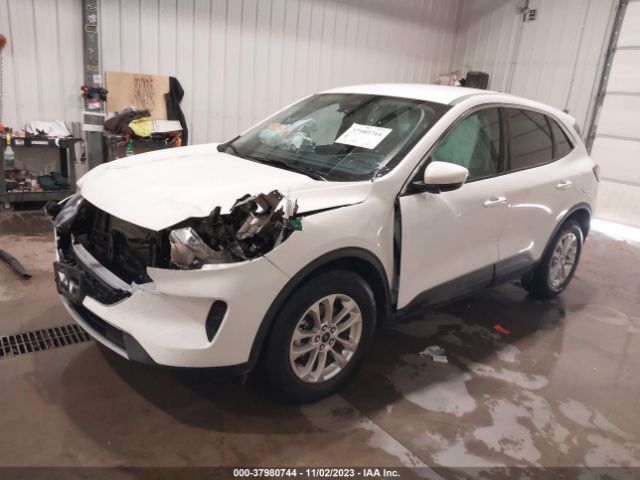 Photo 1 VIN: 1FMCU9G64LUC12652 - FORD ESCAPE 