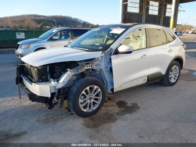 Photo 1 VIN: 1FMCU9G64LUC37924 - FORD ESCAPE 