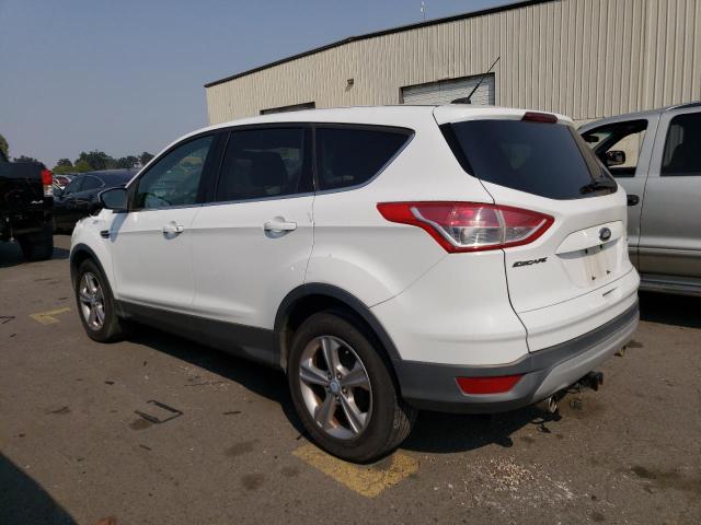 Photo 1 VIN: 1FMCU9G90DUA14386 - FORD ESCAPE 