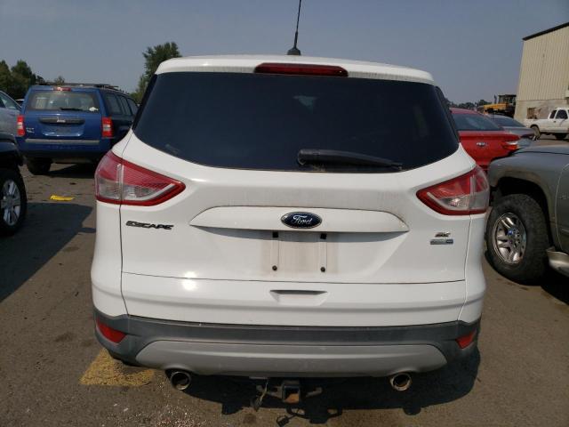 Photo 5 VIN: 1FMCU9G90DUA14386 - FORD ESCAPE 