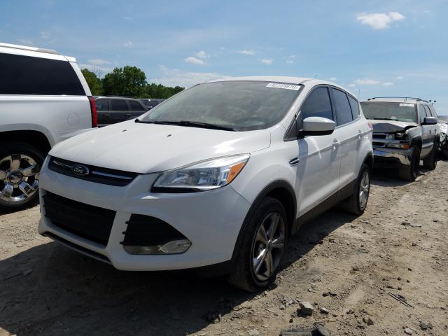 Photo 1 VIN: 1FMCU9G90DUA40759 - FORD ESCAPE SE 