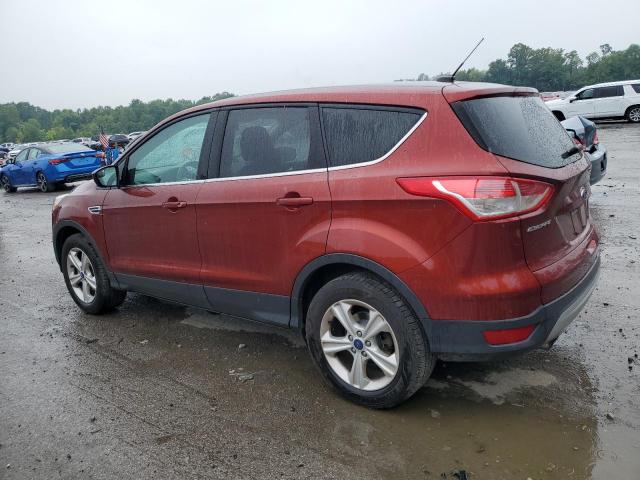 Photo 1 VIN: 1FMCU9G90EUA59796 - FORD ESCAPE SE 