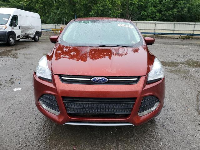 Photo 4 VIN: 1FMCU9G90EUA59796 - FORD ESCAPE SE 