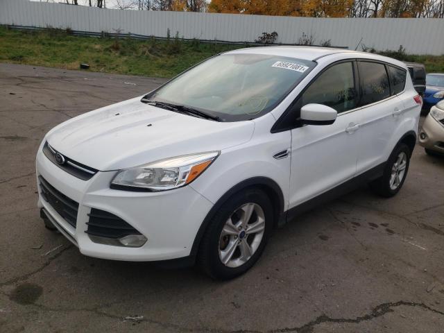 Photo 1 VIN: 1FMCU9G90EUB37624 - FORD ESCAPE 