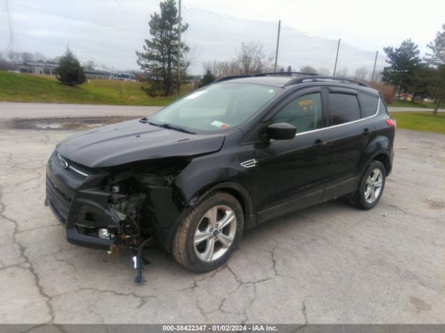 Photo 1 VIN: 1FMCU9G90EUD62786 - FORD ESCAPE 