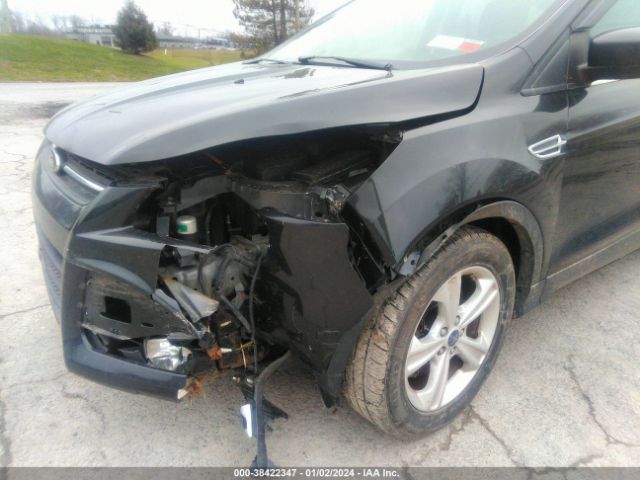 Photo 5 VIN: 1FMCU9G90EUD62786 - FORD ESCAPE 