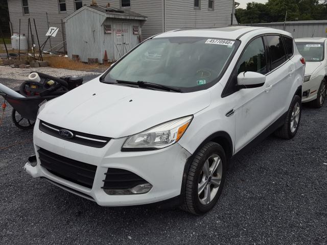 Photo 1 VIN: 1FMCU9G91EUA14401 - FORD ESCAPE SE 