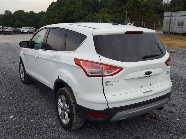 Photo 2 VIN: 1FMCU9G91EUA14401 - FORD ESCAPE SE 