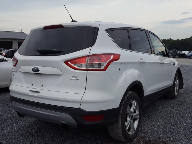 Photo 3 VIN: 1FMCU9G91EUA14401 - FORD ESCAPE SE 