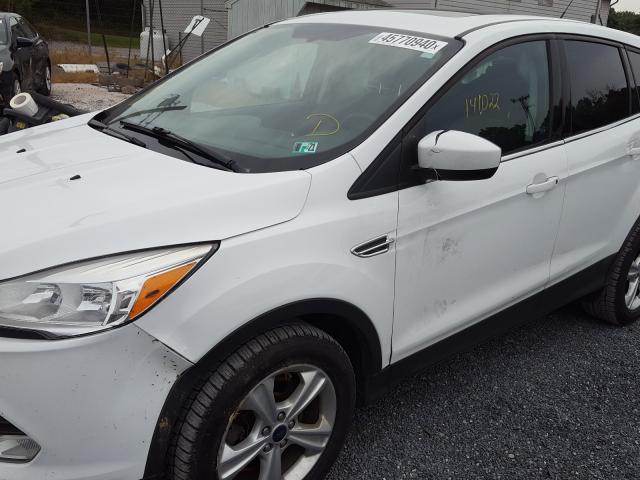 Photo 8 VIN: 1FMCU9G91EUA14401 - FORD ESCAPE SE 