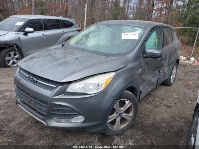 Photo 1 VIN: 1FMCU9G91EUC45864 - FORD ESCAPE 