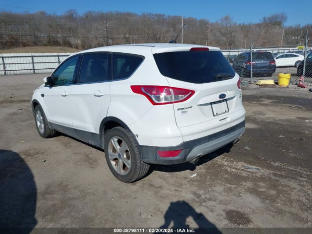 Photo 2 VIN: 1FMCU9G91EUC82493 - FORD ESCAPE 