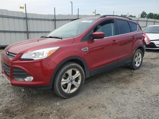 Photo 0 VIN: 1FMCU9G91EUD93593 - FORD ESCAPE 