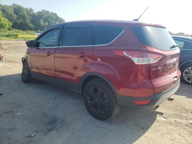 Photo 1 VIN: 1FMCU9G91EUE21487 - FORD ESCAPE SE 