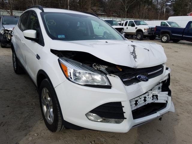 Photo 0 VIN: 1FMCU9G91EUE45756 - FORD ESCAPE 