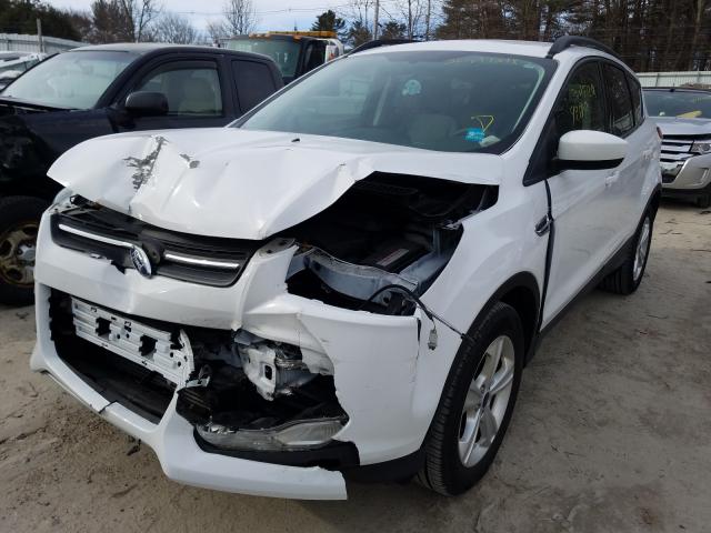 Photo 1 VIN: 1FMCU9G91EUE45756 - FORD ESCAPE 