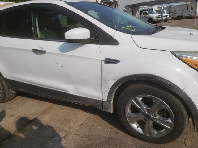 Photo 8 VIN: 1FMCU9G92DUC56483 - FORD ESCAPE 