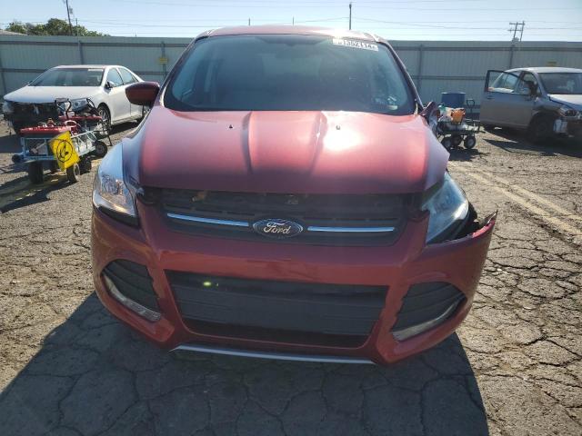 Photo 4 VIN: 1FMCU9G92EUB66123 - FORD ESCAPE 