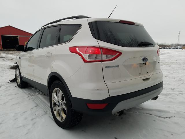 Photo 2 VIN: 1FMCU9G92EUC88464 - FORD ESCAPE SE 