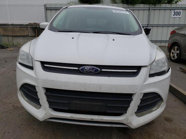 Photo 4 VIN: 1FMCU9G93EUB65434 - FORD ESCAPE 