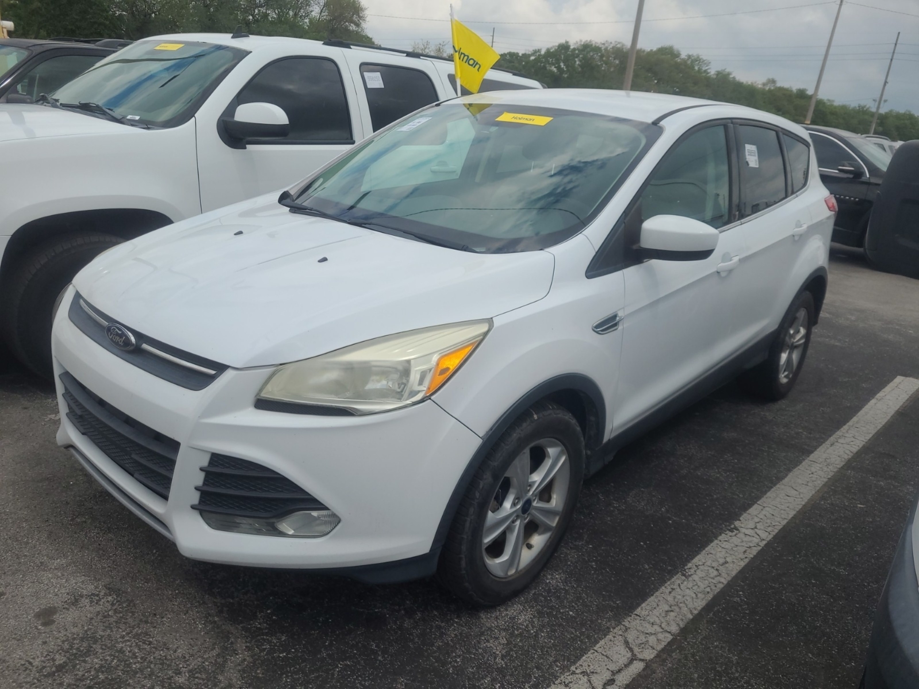 Photo 12 VIN: 1FMCU9G93EUC65114 - FORD ESCAPE 