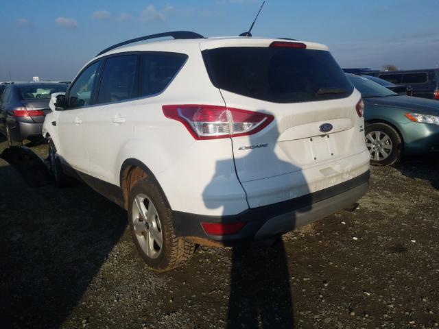 Photo 2 VIN: 1FMCU9G93EUD10729 - FORD ESCAPE SE 